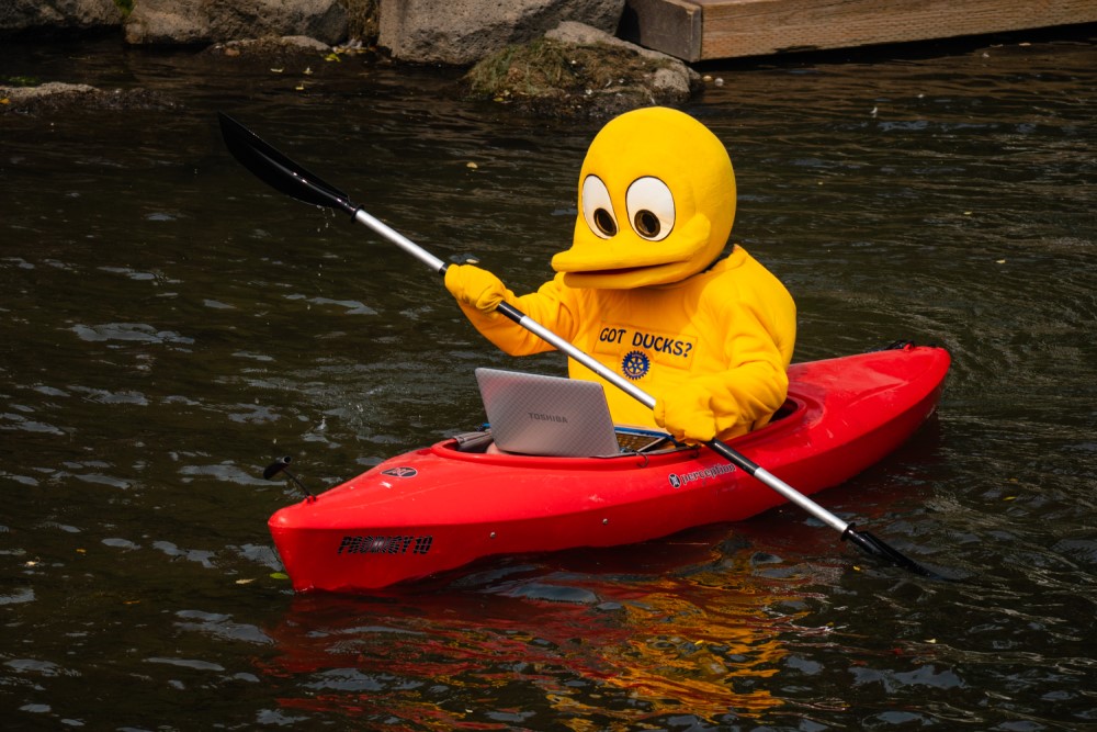 DUCK RACE KICKS OFF JUNE 29 | Duck in Kayak in Drake Park