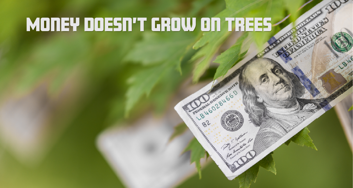 Money Doesn’t Grow on Trees
